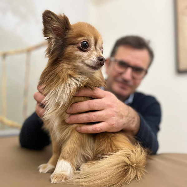 Reiki Behandlungen für Tiere, das Bild zeigt einen Hund der vom Reiki Anwander gehalten wird. Der Hund wirkt ruhig.